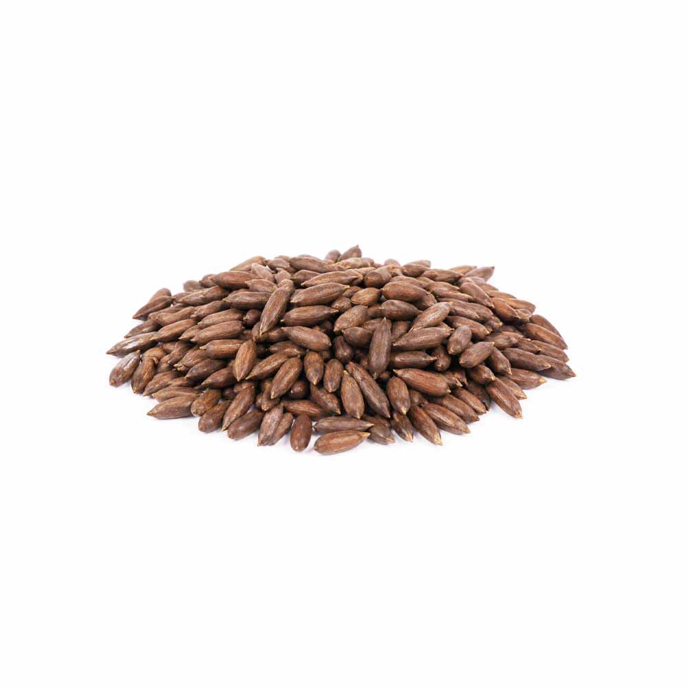 chalghoz-with-skin-Mafshop چلغوز با پوست - تصویر 1